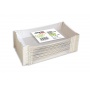 Paper trays, STELLA, small, 100 pcs., White