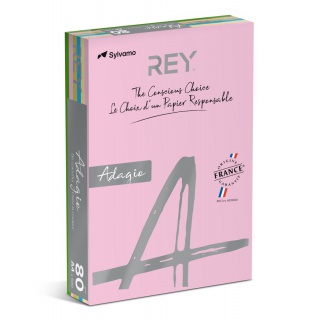 PAPIER A4 80G REY ADAGIO *RYADA080X905 R200, PASTEL ASSORTED COLORS, 5x100 SHEETS, Copier paper, Paper and labels