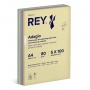 PAPIER A4 80G REY ADAGIO *RYADA080X905 R200, PASTEL ASSORTED COLORS, 5x100 SHEETS, Copier paper, Paper and labels