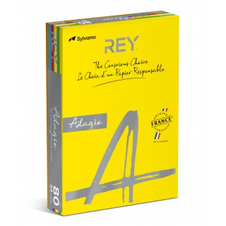 PAPIER A4 80G REY ADAGIO*RYADA080X906 R200, INTENS ASSORTED COLORS, 5x100 SHEETS, Copier paper, Paper and labels