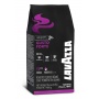 Coffee LAVAZZA GUSTO FORTE EXPERT, beans, 1 kg, Coffee, Groceries