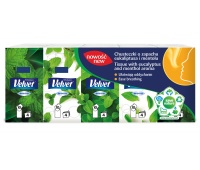 Tissues VELVET, Eucalyptus and menthol, 4 layers, 10x10pcs, white