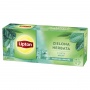 Tea LIPTON green, with a hint of mint, 20 bags
