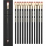 Set of 12 hard pencils BLACKWING X MOLESKINE