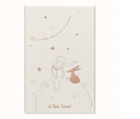Zestaw MOLESKINE Pro Mały Książę, notes w linie + niedatowany planer L, edycja limitowana, w pudełku