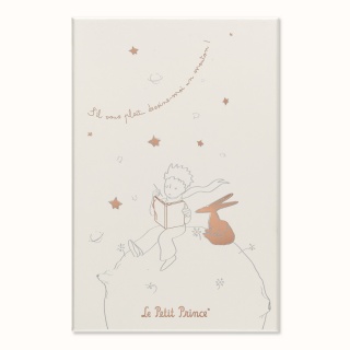 Set MOLESKINE Pro Le Petit Prince, ruled notebook + undated planner L, limited edition, in box