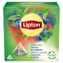 Tea LIPTON, pyramids, green, berry and goya, 20 bags