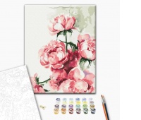 Malowanie po numerach BRUSHME, 40x50 cm, akwarela piwonie, 1 szt., w pudełku