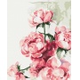 Paint by numbers BRUSHME, 40x50 cm, watercolor peonies, 1 pc, in a box