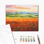 Paint by po numbers BRUSHME, 40x50 cm, sunset over field of flowers, 1 pc, in a box