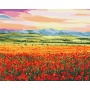 Paint by po numbers BRUSHME, 40x50 cm, sunset over field of flowers, 1 pc, in a box