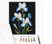Malowanie po numerach BRUSHME, 40x50 cm, irysy, 1 szt., w pudełku