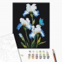 Paint by numbers BRUSHME, 40x50 cm, irises, 1 pc, in a box