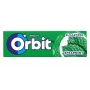 GUMA DO ZUCIA, ORBIT, SPEARMINT, Special Offers, ~ Prizes