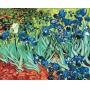 Paint by numbers BRUSHME, 40x50 cm, Irises Van Gogh, 1 pc, in a box