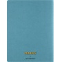 Notebook MOLESKINE Peanuts Linus Single Cahier, XL, 19x25cm, ruled, limited edition