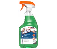 Płyn do mycia okien i szyb MR MUSCLE Window & Glass, spray, 750ml