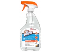 Płyn do mycia r&oacute;żnych powierzchni MR MUSCLE Multi-Surface, spray, 750ml