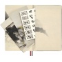 Notebook MOLESKINE 2026 Horse, L, ruled, Calligraphy