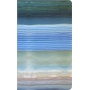 Set of 2 notebooks MOLESKINE Cahier Impressionism Mus&eacute;e d'Orsay, L, plain