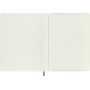 Notebook MOLESKINE Pro, limited edition Boa Synthetic, XL, ruled, green, box