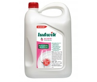 Dishwashing liquid LUDWIK, 5kg, raspberry