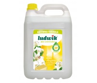 Universal cleaner LUDWIK, 5l, marseille soap
